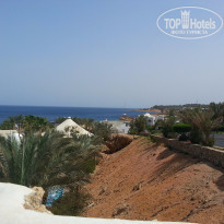 фото из отзыва ID 1336870