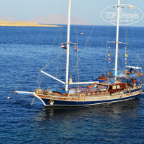 фото из отзыва ID 1336973