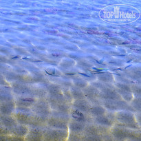 фото из отзыва ID 1336973