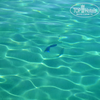 фото из отзыва ID 1336973