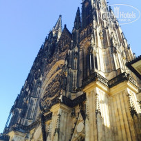 фото из отзыва ID 1337021