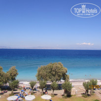 фото из отзыва ID 1337037