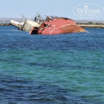 фото из отзыва ID 1337056