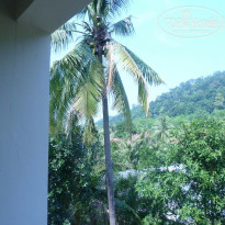 фото из отзыва ID 1337057