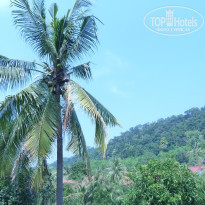 фото из отзыва ID 1337057