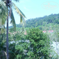 фото из отзыва ID 1337057