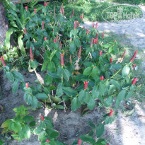 фото из отзыва ID 1337057