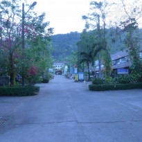 фото из отзыва ID 1337057