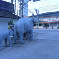 фото из отзыва ID 1337057