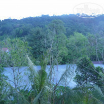 фото из отзыва ID 1337057