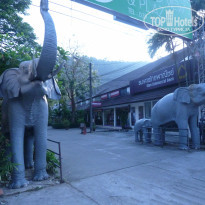 фото из отзыва ID 1337057