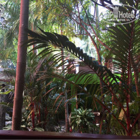 фото из отзыва ID 1337155