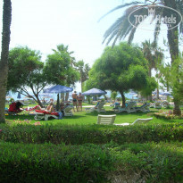 фото из отзыва ID 1337208