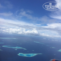 фото из отзыва ID 1337441