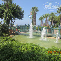 фото из отзыва ID 1337493