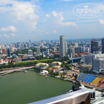 фото из отзыва ID 1337526