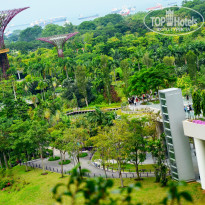 фото из отзыва ID 1337526