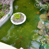 фото из отзыва ID 1337572