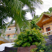 фото из отзыва ID 1337572