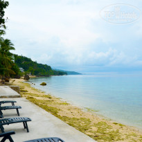 фото из отзыва ID 1337572