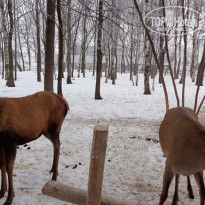 фото из отзыва ID 1337592