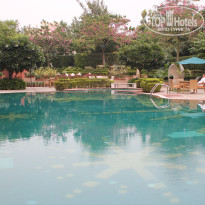 фото из отзыва ID 1337649