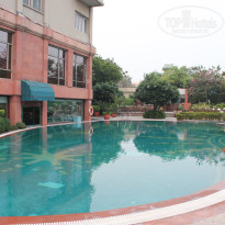 фото из отзыва ID 1337649