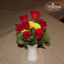 фото из отзыва ID 1337649