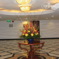 фото из отзыва ID 1337649