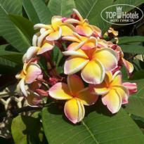 фото из отзыва ID 1337709