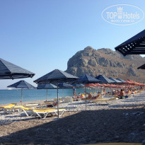 фото из отзыва ID 1337384