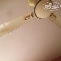 фото из отзыва ID 1337779