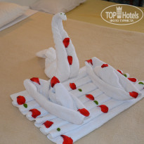 фото из отзыва ID 1338055