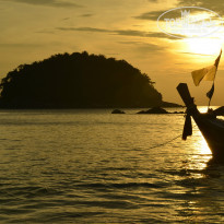 фото из отзыва ID 1338061