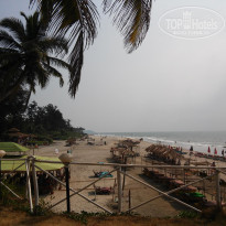 фото из отзыва ID 1338230