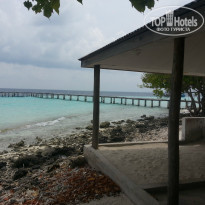 фото из отзыва ID 1338145