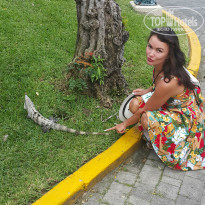 фото из отзыва ID 1338458