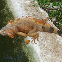 фото из отзыва ID 1338458