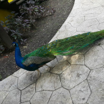 фото из отзыва ID 1338458