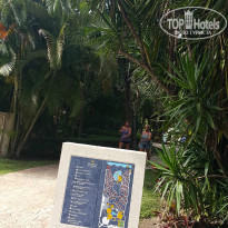 фото из отзыва ID 1338458