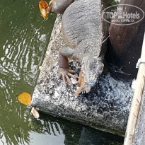 фото из отзыва ID 1338458