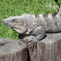 фото из отзыва ID 1338472