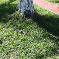 фото из отзыва ID 1338472