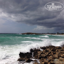 фото из отзыва ID 1338563