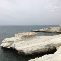 фото из отзыва ID 1338563