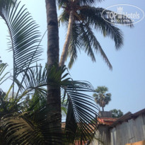 фото из отзыва ID 1338707