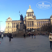 фото из отзыва ID 1338788