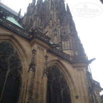 фото из отзыва ID 1338788