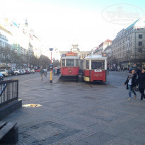 фото из отзыва ID 1338788