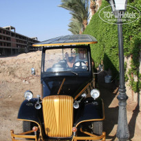 фото из отзыва ID 1338933